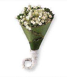 Rolled Gypsophila Boutonniere from Krupp Florist, your local Belleville flower shop