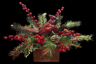 Wooden Cardinal box with silks xmas-arrg2306 from Krupp Florist, your local Belleville flower shop